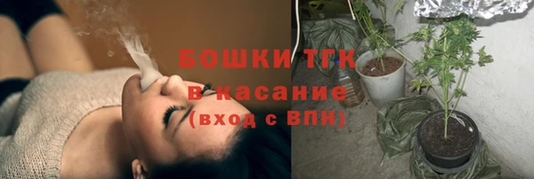 сатива Богородск