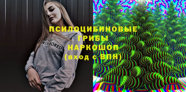 сатива Богородск
